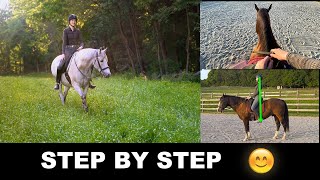 HOW TO RIDE A HORSE FOR BEGINNERS STEP BY STEP 🐎 [upl. by Ytsim247]