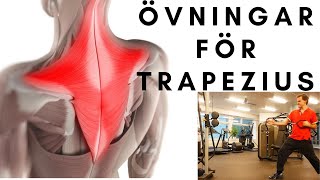 Övningar för trapezius [upl. by Ephram465]