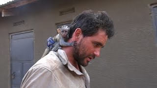 Baby Vervet Monkey Rescued from African Brush Fire [upl. by Enixam7]