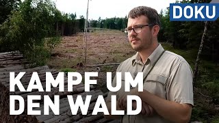 Wie drei Forstleute den Wald retten wollen  erlebnis hessen  Doku [upl. by Wolpert]