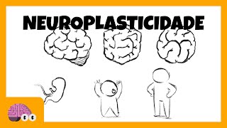 NEUROPLASTICIDADE CEREBRAL O QUE É E O QUE NÃO É [upl. by Cornall264]