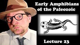 Lecture 23 Early Amphibians of the Paleozoic [upl. by Wilkens]