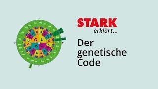 Der Genetische Code  STARK erklärt [upl. by Ttej]