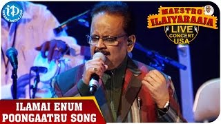 Revival Songs  Ilamai Enum Poongaatru  Pagalil Oru Iravu  Ilayaraja  SP Balasubramaniam [upl. by Eicnahc]