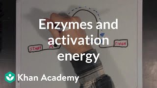 Enzymes and activation energy  Biomolecules  MCAT  Khan Academy [upl. by Titos]