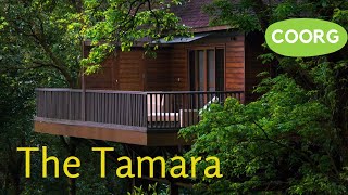 The Tamara Coorg  Tamara Coorg Honeymoon Package  Luxury Resort Coorg [upl. by Garate]