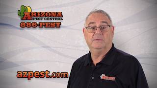 Bruce Tennenbaum from Arizona Pest Control [upl. by Kelda]