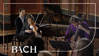 Bach  Trio sonata in G major BWV 1038  Netherlands Bach Society [upl. by Kiki]