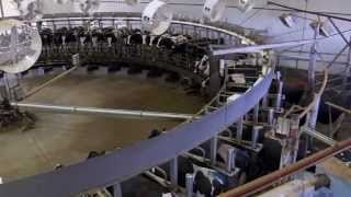 How Cows are Milked at McCarty Family Farms [upl. by Mcripley]