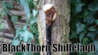 How to make a Shillelagh [upl. by Kelwen]