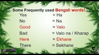 Learn Some Frequently Used Bengali Words in English Part 1 [upl. by Mohkos499]