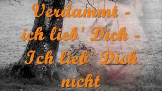 Matthias Reim  Verdammt ich lieb dich lyrics [upl. by Sevart]