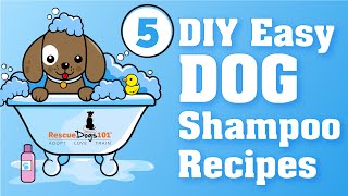 5 Easy Homemade DIY Dog Shampoo Recipes [upl. by Garlinda]