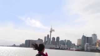 Meteor hits CN Tower Toronto [upl. by Aidekal]