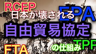 日本を破壊する自由貿易協定の仕組みーFTA・EPA・TPP・RCEP－ [upl. by Zebada]