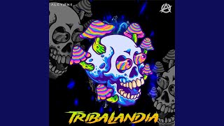 Tribalandia [upl. by Zetnom]