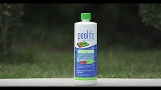 poolife® Defend® Algaecide [upl. by Adnamma]