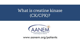 What is creatine kinase [upl. by Dlorej356]