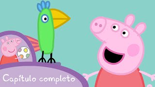 Peppa  Lucas el loro capítulo completo [upl. by Ruben]