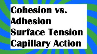 Cohesion vs adhesion [upl. by Eelyme]