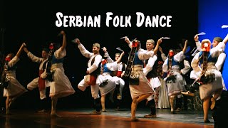 Serbian Folk Dance  The Tamburitzans [upl. by Willmert]