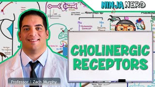 Neurology  Cholinergic Receptors [upl. by Nnaylrebmik]