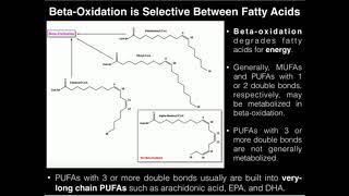 PUFAs BetaOxidation of Linoleic Acid 2 Double Bonds [upl. by Acirehs]