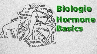 Hormone Basics [upl. by Conchita84]