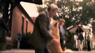 Hachi A Dogs Tale Explained 2009 Imdb  89 [upl. by Reywas]