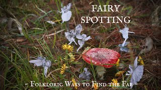 How to Spot Fairies 101 [upl. by Mcneely]