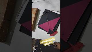 Moradabad ki patang kiteflying makarsankranti shorts [upl. by Elak]