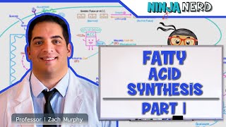 Metabolism  Fatty Acid Synthesis Part 1 [upl. by Oralle768]