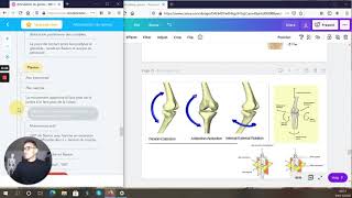 FLEXION et EXTENSION du GENOU  PHYSIOLOGIE ARTICULAIRE  BIOMÉCANIQUE [upl. by Arivle]