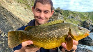 Shore Fishing UK  Wrasse Fishing  Rock Fishing  The Fish Locker [upl. by Rahm501]