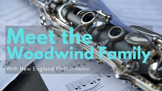 Woodwind Instruments for Kids with New England Philharmonic [upl. by Hsoj807]