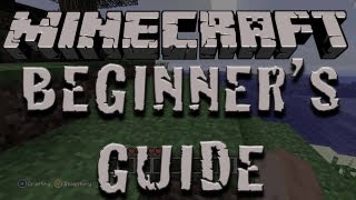 Minecraft 360° VR  Jungle Roller Coaster 8K 60FPS Video [upl. by Miharbi]