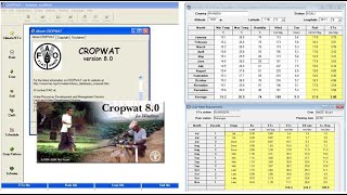 🔴CROPWAT 80  Data ETo ET CWRampIrrigation requirements Part 1  English version tutorial [upl. by Enyrehtak861]