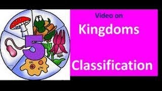 Classification of Living things for Kids [upl. by Korwin133]