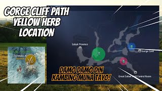 Gorge Cliff Path  Yellow Herb Location Guide  MIR4 [upl. by Nnylyt]