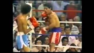 Salvador Sanchez vs Wilfredo Gomez  Rounds 7 y 8 TKO [upl. by Eldnek223]