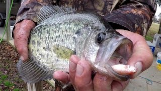 Crappie Fishing With A Bobber and Live Minnows [upl. by Dyana971]