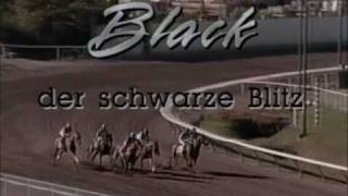 Black der schwarze Blitz  The Adventures of the Black Stallion [upl. by Ettelocin]