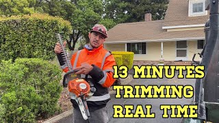 Hedge Trimming Action  Stihl HS 45 [upl. by Leribag]