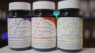 Rhodiola Crenulata and Rosea Review [upl. by Ecargyram769]