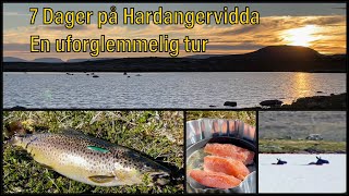 Hardangervidda  Fisketur  Sant [upl. by Tarrah628]