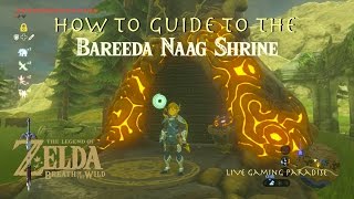 Breath of the Wild  Bareeda Naag Shrine Guide and Location [upl. by Eahsel]