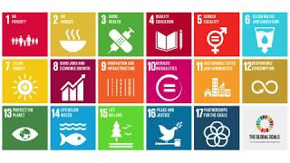 UN Sustainable Development Goals SDGs What They Are amp Why Theyre Important [upl. by Aible945]