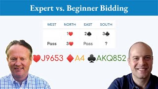 How beginner intermediate and expert players might bid this bridge hand differently [upl. by Tris]