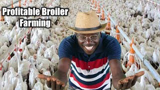 HOW TO START PROFITABLE BROILER FAMING BUSINESS [upl. by Safoelc]