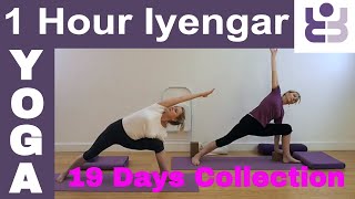 One Hour Iyengar Yoga Class  19 Days of Yoga Collection [upl. by Ikuy]